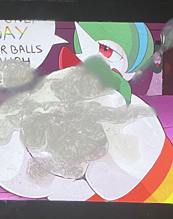 Thumbnail for gallade cum trib