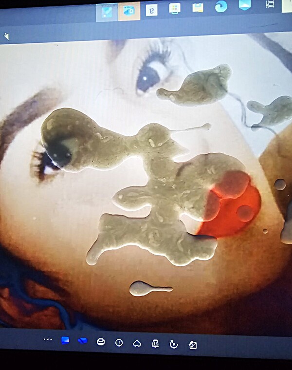 Thumbnail for Bbc cumtrib request for Mexican chick.  Nut is thick af.
