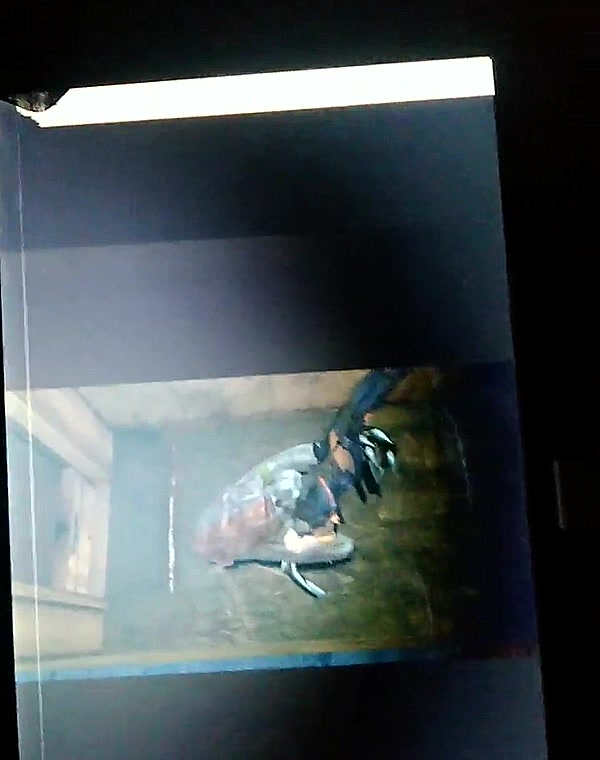 Thumbnail for Resident Evil Revelations ryona rachel foley fapping enjoying cum tribute sop send dm