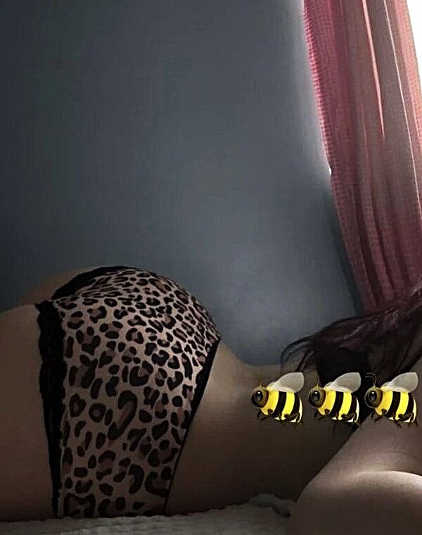 Thumbnail for Tribute latina webslut