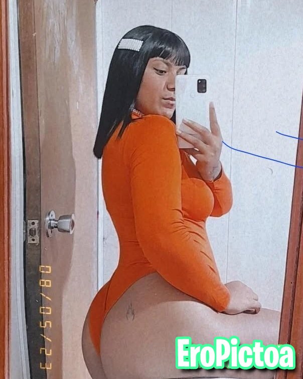 Argenta trola photo featuring Argenta trola - Part 58