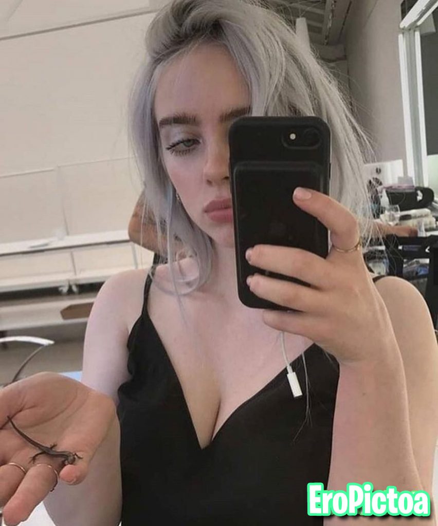 Billie Eilish Full Album photo