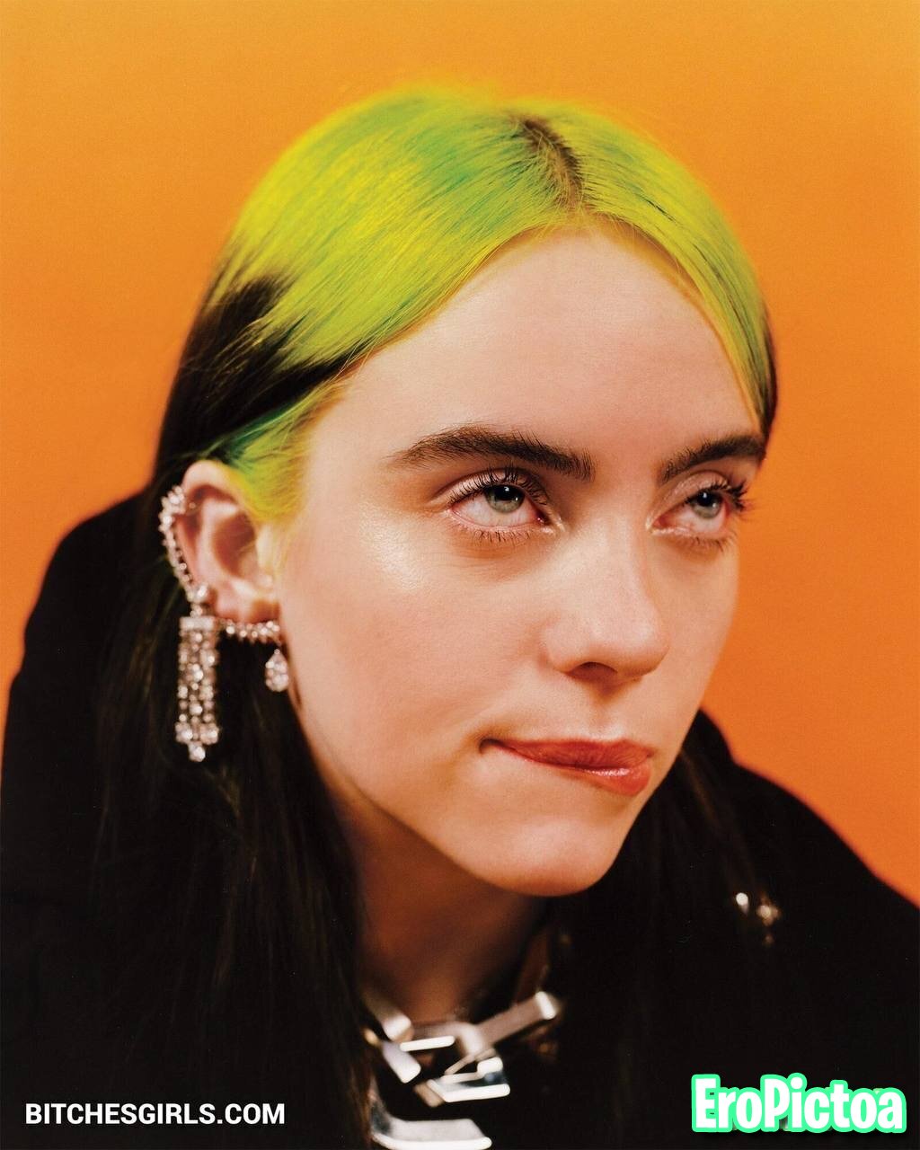 Billie Eilish Vol.2 photo featuring babecock - Part 23