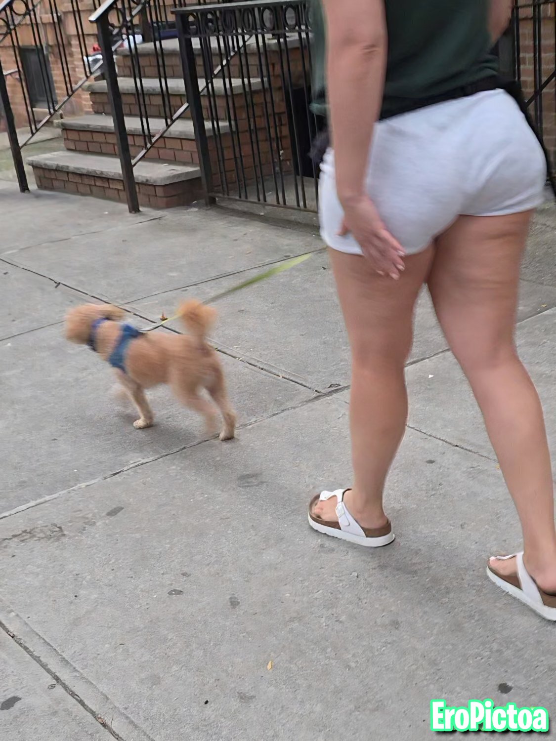 White neighbor photo - Part 2