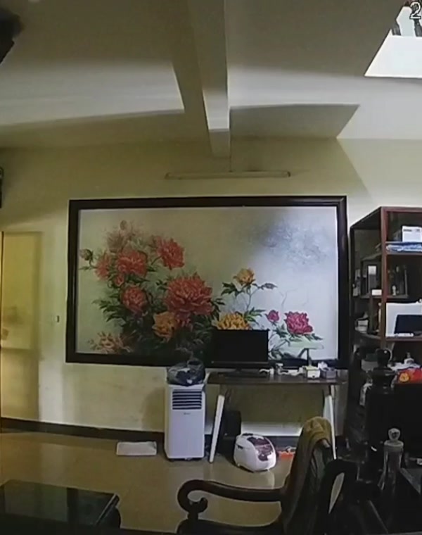 Thumbnail for Hack Camera leaks