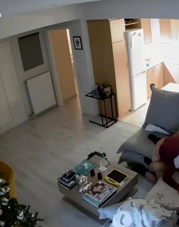 Thumbnail for IPCAM - Couple having sex on the sofa