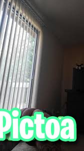 M0n@$B1gFunT1m3 photo featuring slut
