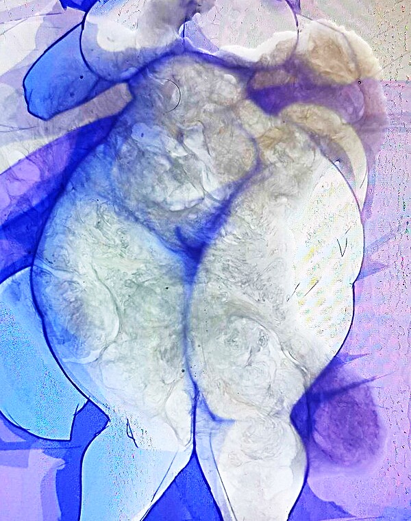 Thumbnail for Discord Cat Cum tribute (Sop)