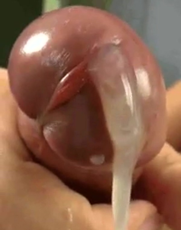 Thumbnail for Shemale GIFs