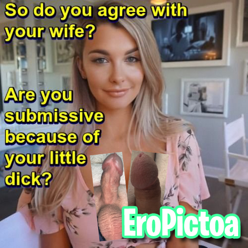 Sph captions photo featuring beta