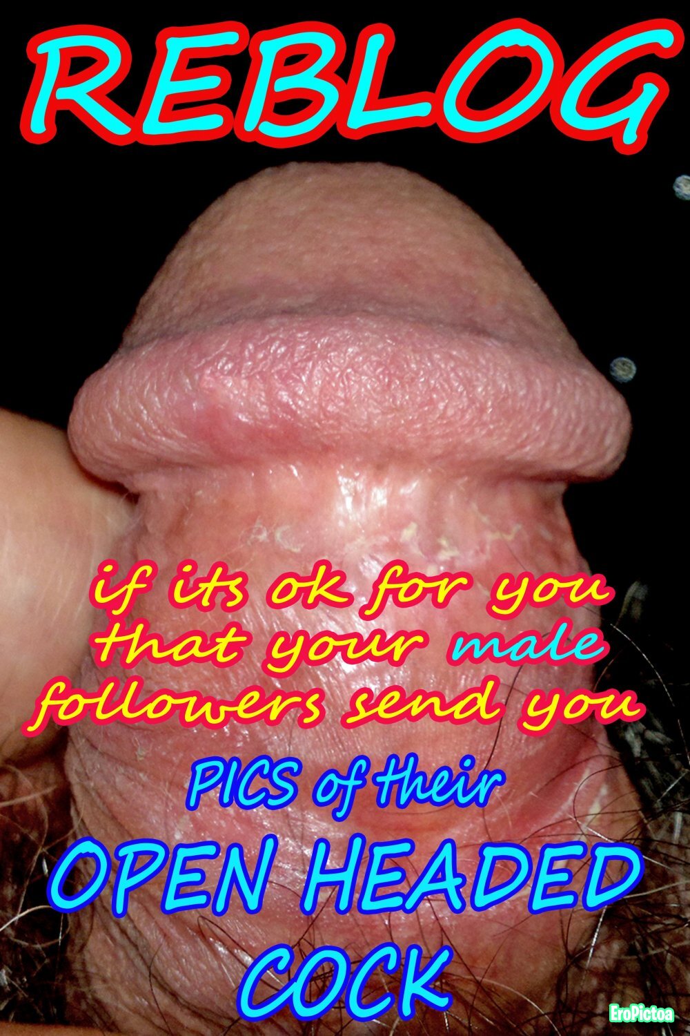 SELINA - Captions multilingual photo featuring tributes - Part 31