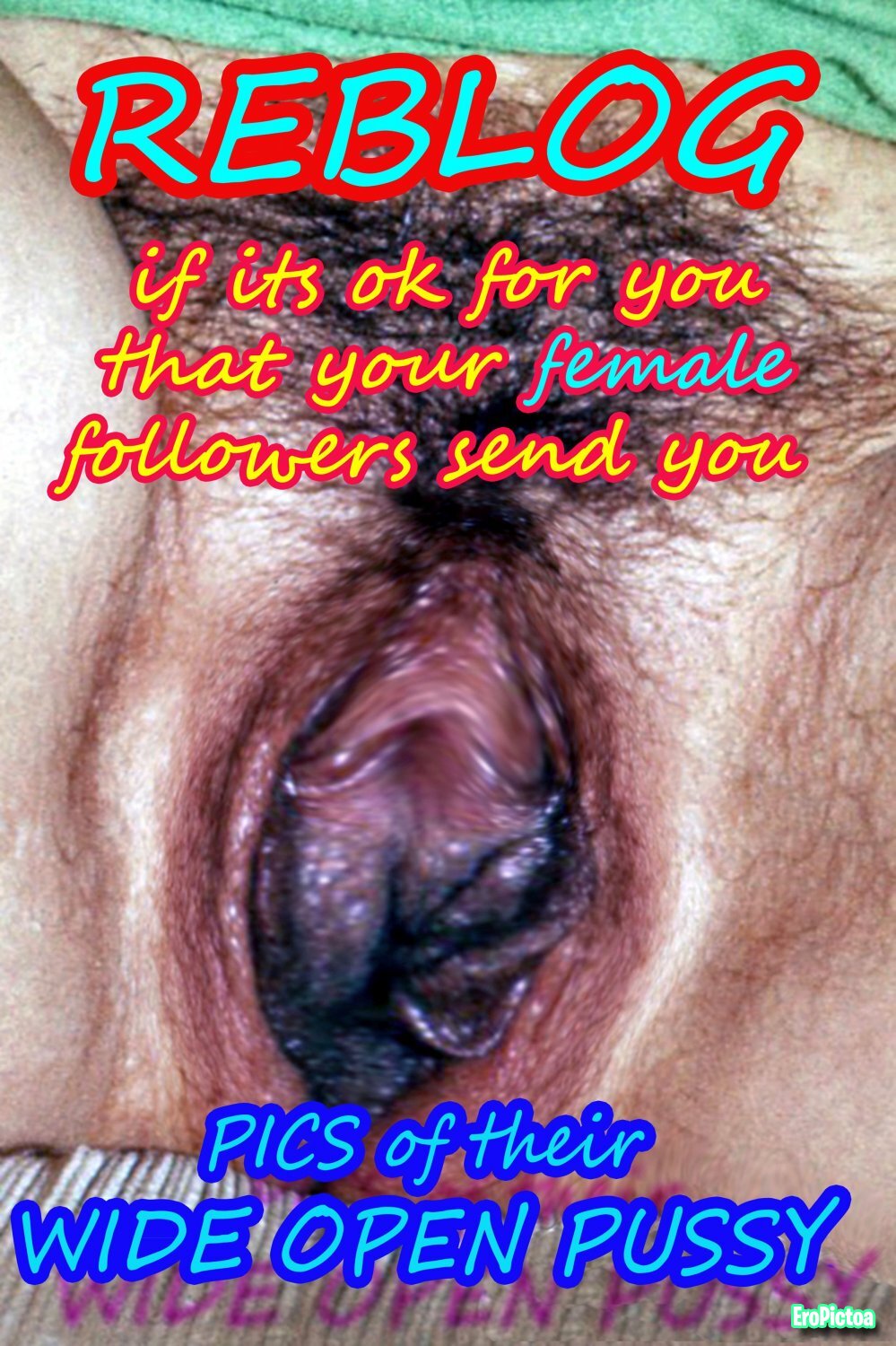 SELINA - Captions multilingual photo featuring german - Part 32