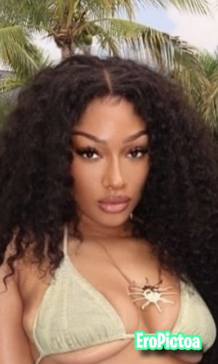 Megantheestallion (ai) photo featuring megan