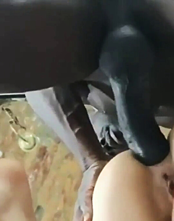 Thumbnail for Huge BBC Destroys My Tight Asshole