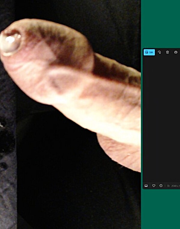 Thumbnail for Finished hard during the wankchat