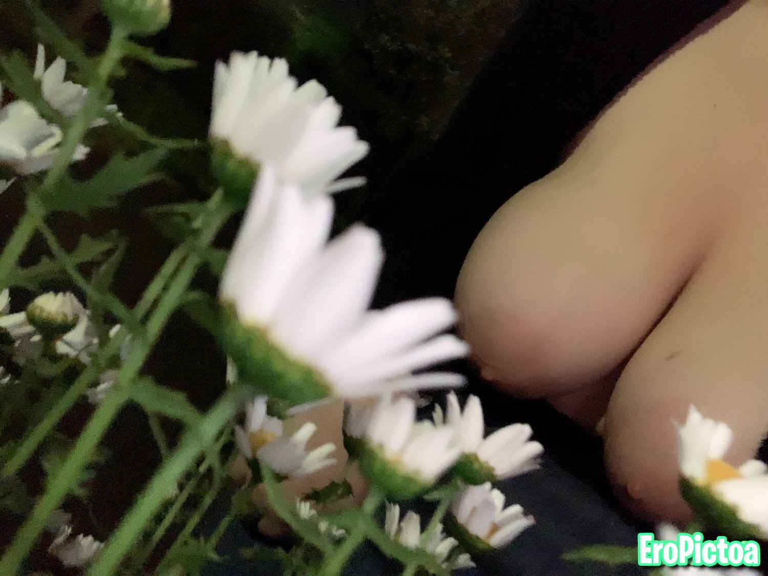 ぽっちゃりデブ photo featuring japanese - Part 15