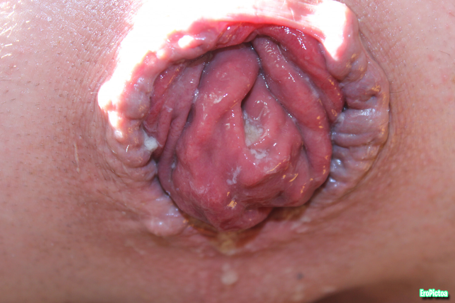 Rosebud closeup photo featuring extreme - Part 4