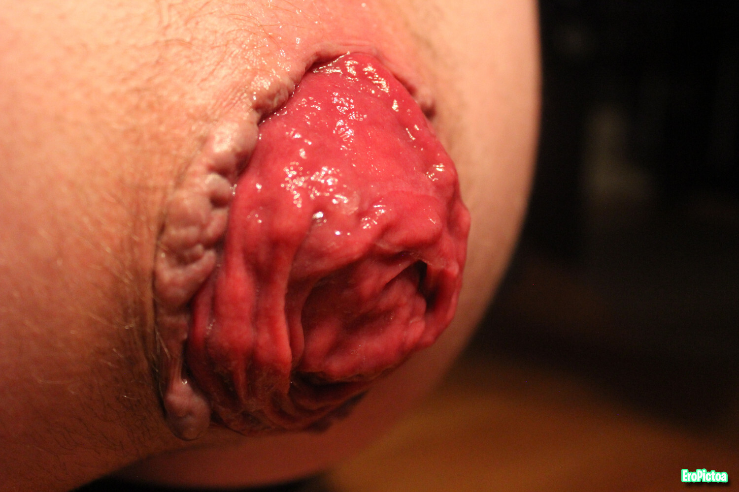 Rosebud closeup photo featuring fetish - Part 7