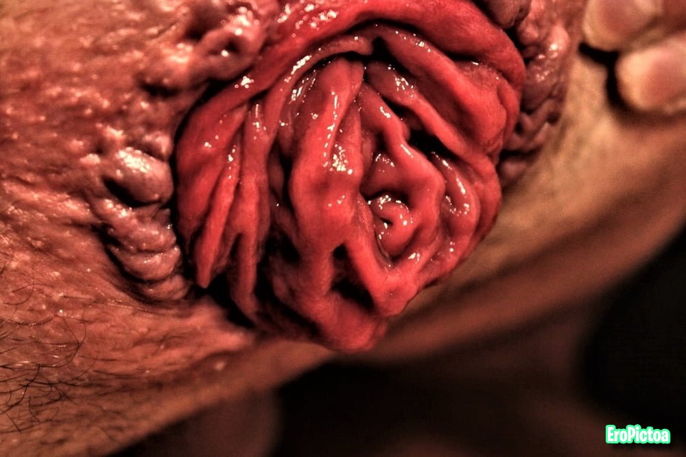 Prolapse art photo featuring anal - Part 34