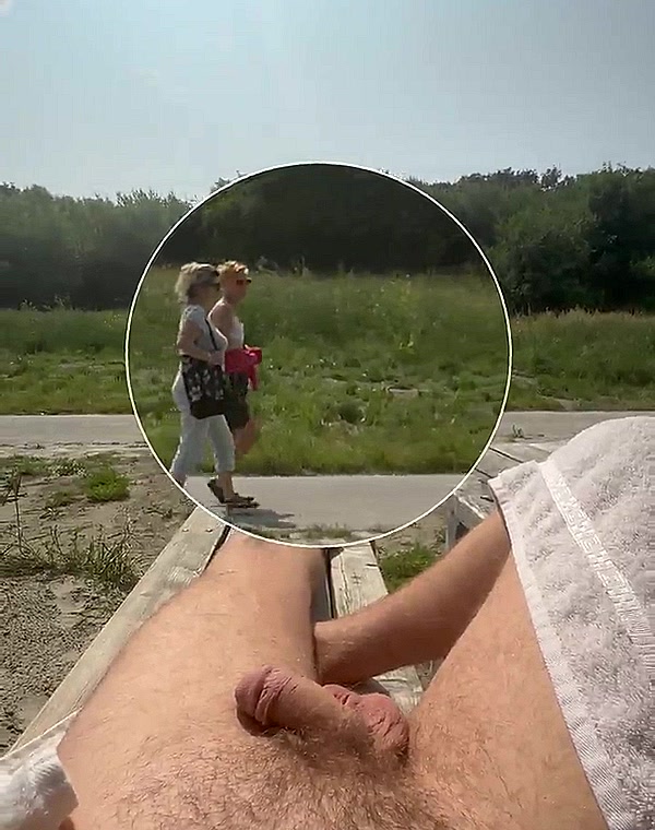 Thumbnail for Public dick flash