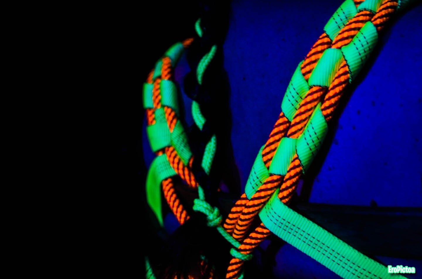 Shibari session Neon Ropes 2 photo Shibari session Neon Ropes 2 photo
