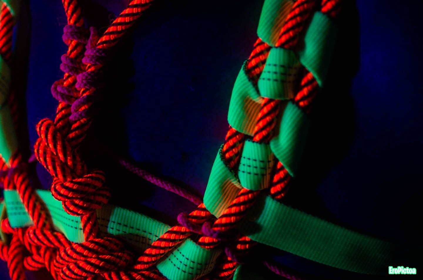Shibari session Neon Ropes 2 photo Shibari session Neon Ropes 2 photo