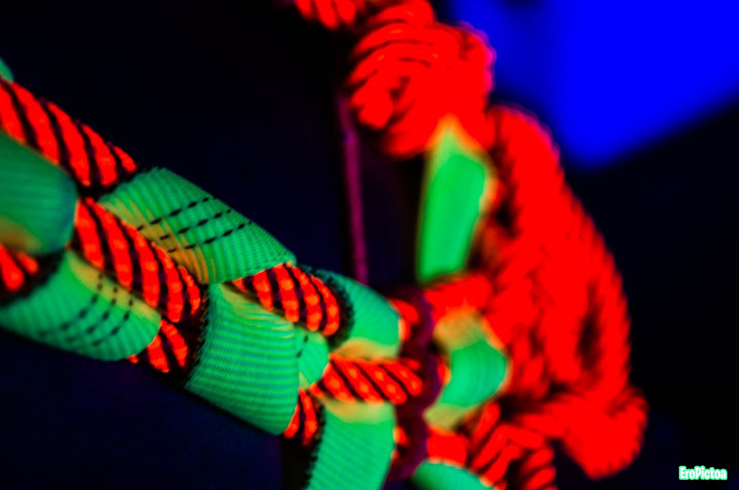 Shibari session Neon Ropes 2 photo Shibari session Neon Ropes 2 photo