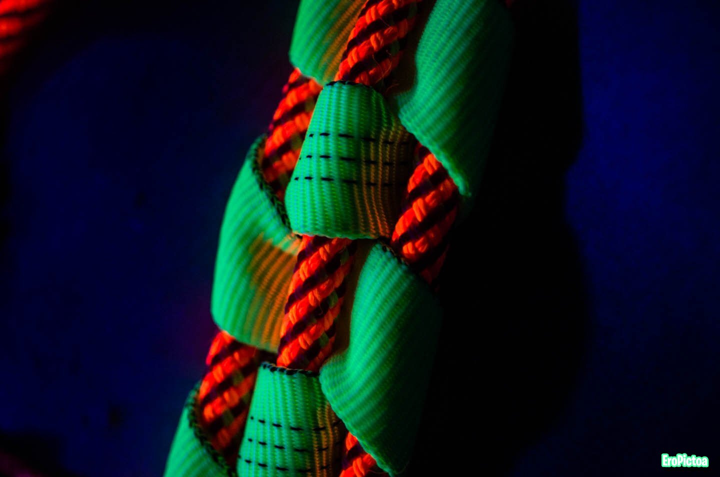 Shibari session Neon Ropes 2 photo Shibari session Neon Ropes 2 photo