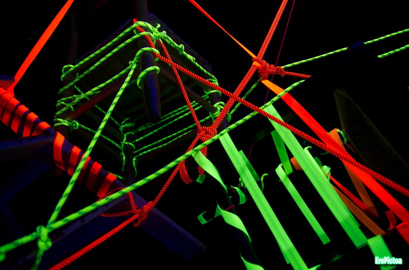 Shibari session Neon Ropes photo - Part 10
