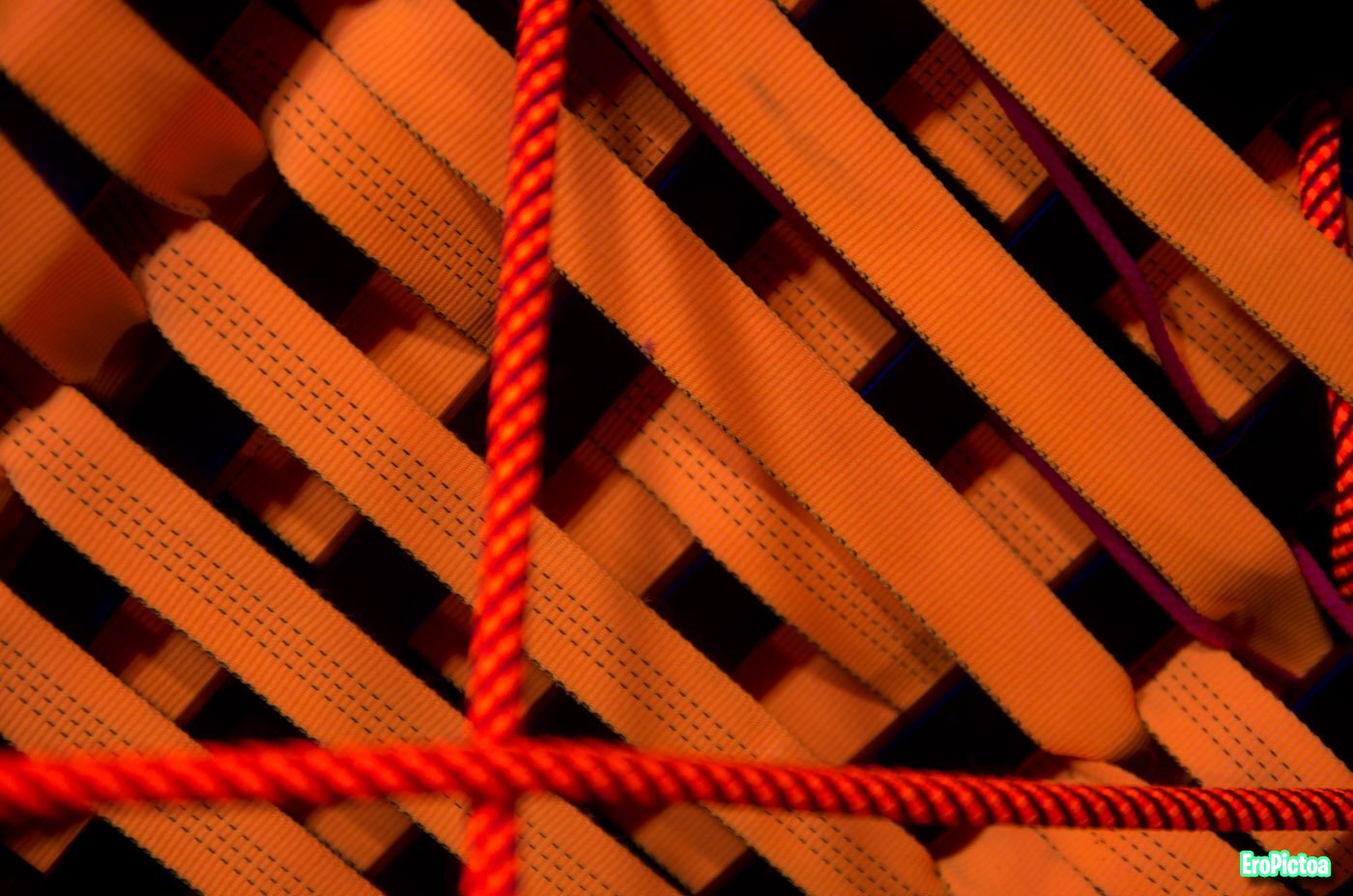 Shibari session Neon Ropes photo - Part 4