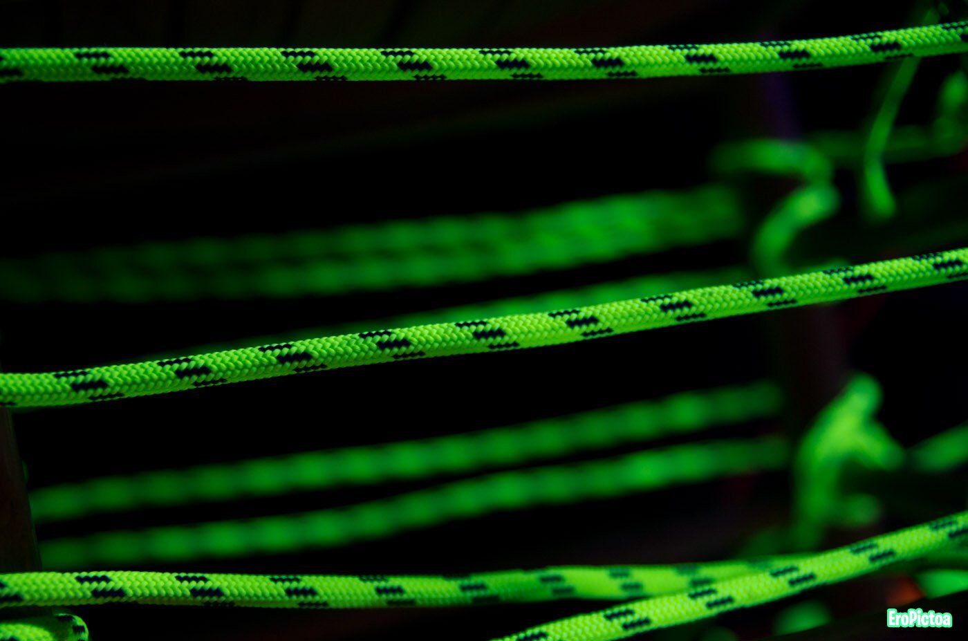 Shibari session Neon Ropes photo - Part 7