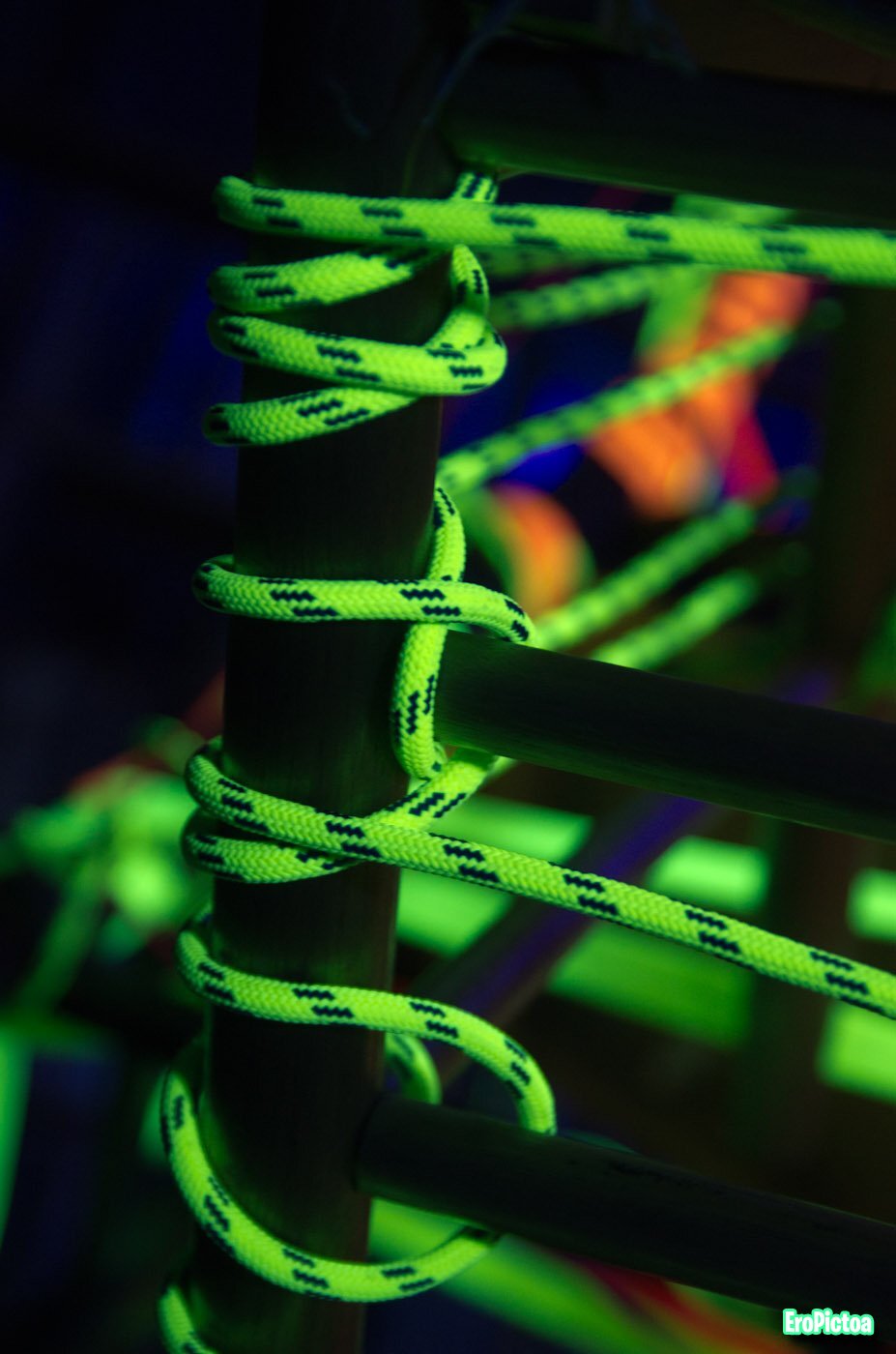 Shibari session Neon Ropes photo - Part 9